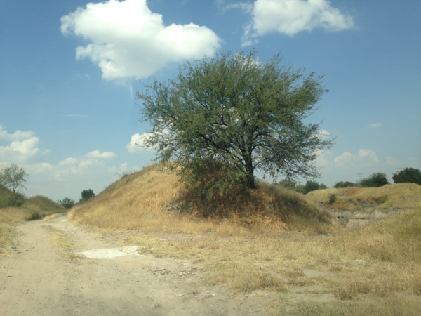 Terreno en venta en El Tecolote (Cerrito de Hierbas), Cortazar — foto 3 de 9