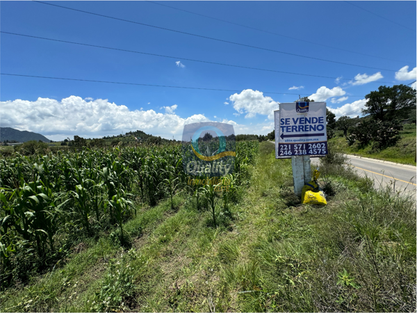 Terreno en venta en San Andres Ahuashuatepec, Tzompantepec — foto 2 de 9