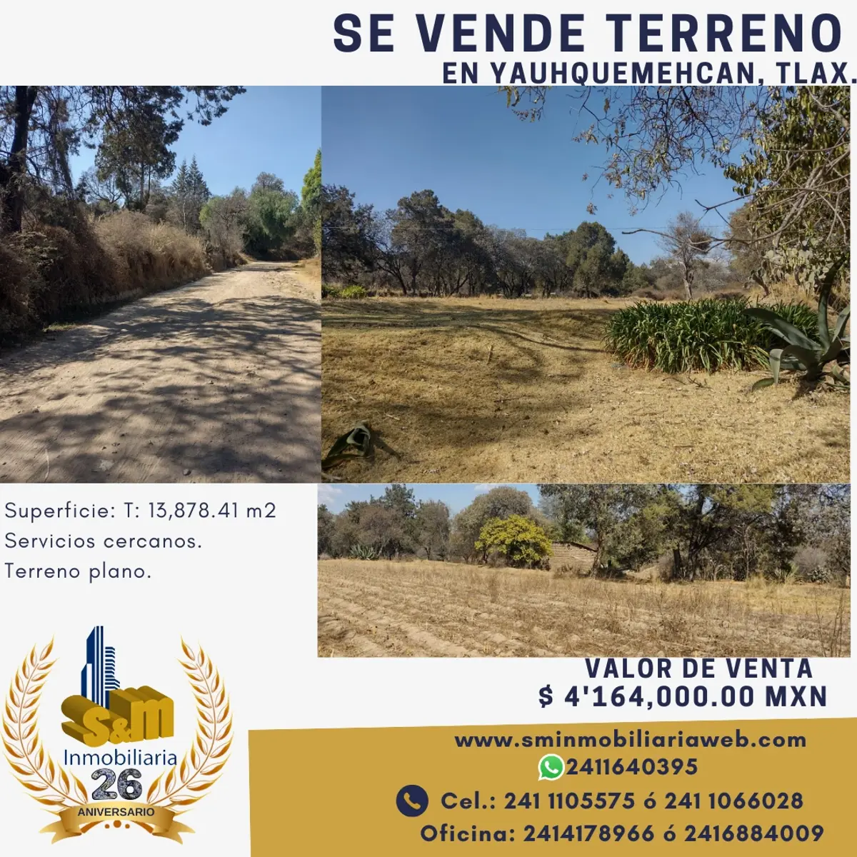 Terreno en venta en Magdalena Tepepa, Yauhquemehcan — foto 1 de 13