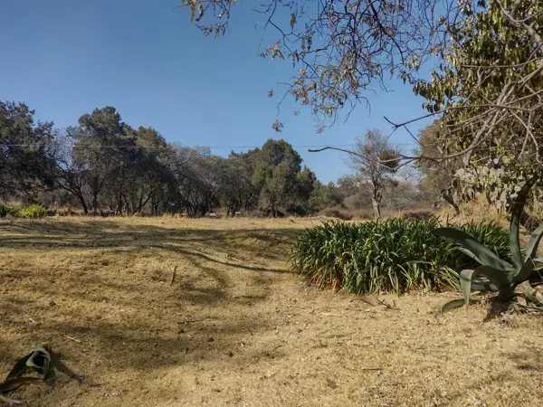Terreno en venta en Magdalena Tepepa, Yauhquemehcan — foto 3 de 13