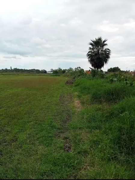 Terreno en venta en Tezoyuca, Emiliano Zapata — foto 2 de 3