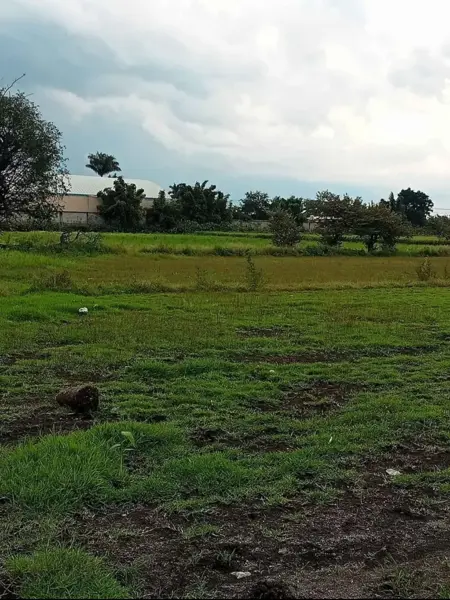 Terreno en venta en Tezoyuca, Emiliano Zapata — foto 3 de 3