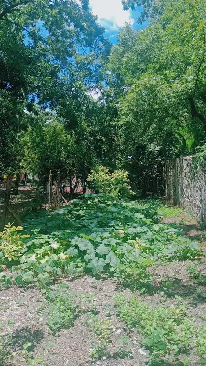 Terreno en venta en Estrella, Parras — foto 1 de 5