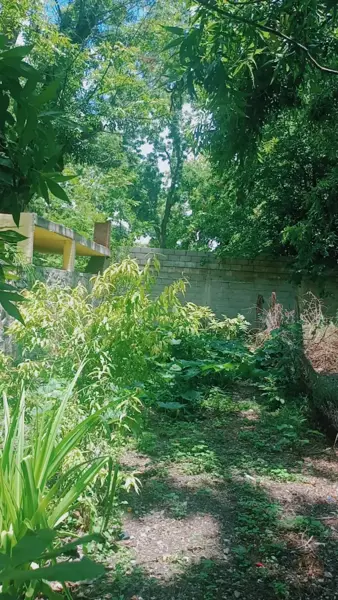 Terreno en venta en Estrella, Parras — foto 2 de 5