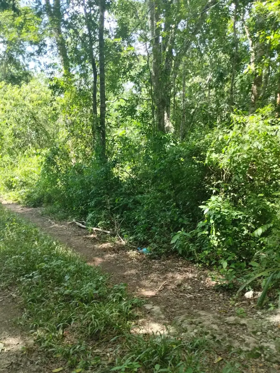 Terreno en venta en Chunyaxché, Felipe Carrillo Puerto — foto 1 de 6