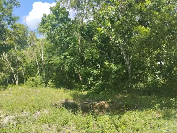 Terreno en venta en Chunyaxché, Felipe Carrillo Puerto — foto 3 de 6