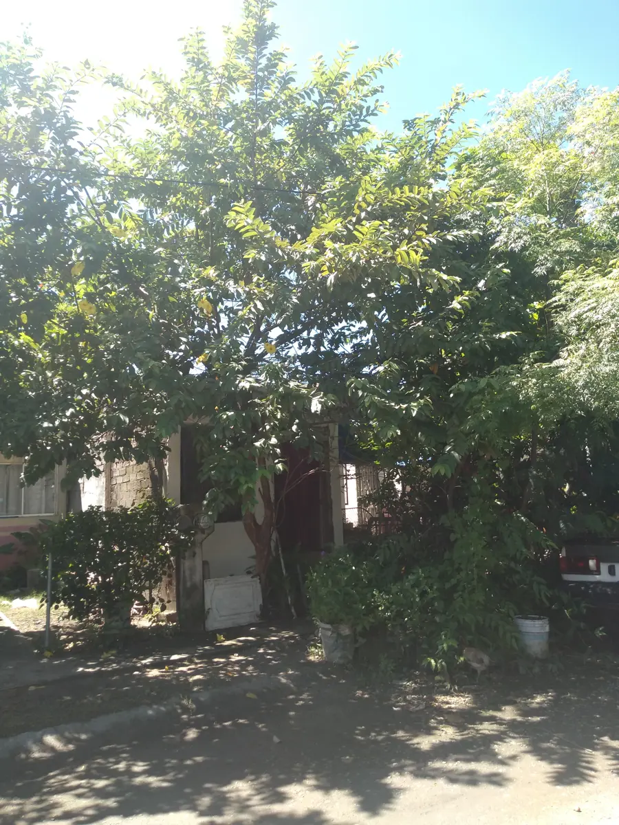 Casa en venta en Santa Fe, Bahía de Banderas — foto 1 de 6