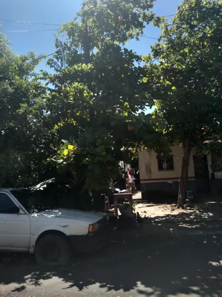 Casa en venta en Santa Fe, Bahía de Banderas — foto 3 de 6