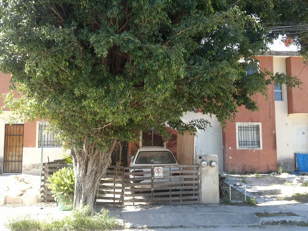 Casa en venta en Tierra Maya, Benito Juárez — foto 1 de 8