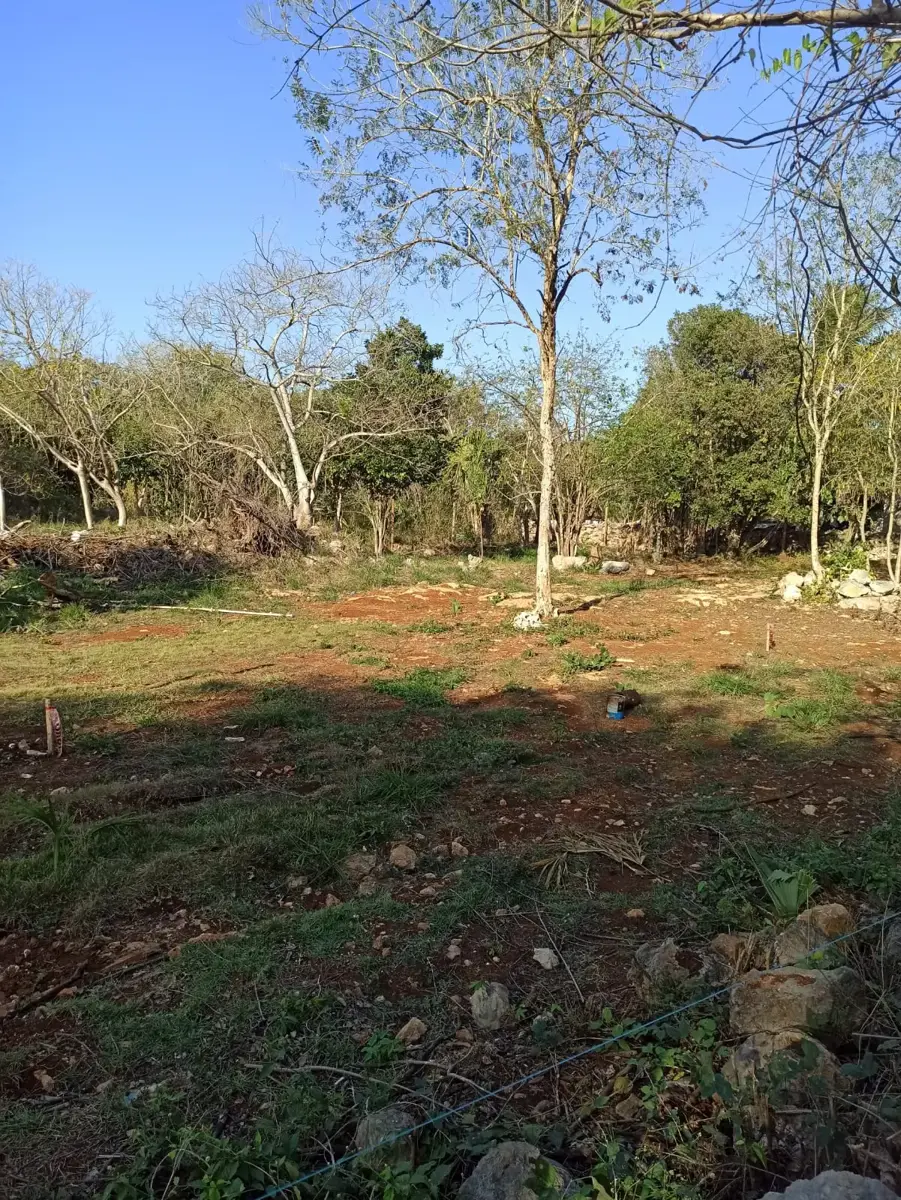 Terreno en venta en Sitpach, Mérida — foto 1 de 4
