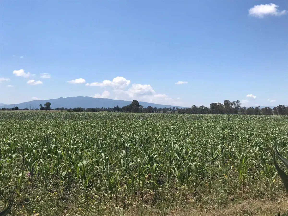 Terreno en venta en El Tesoro, Polotitlán — foto 1 de 13
