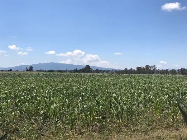 Terreno en venta en El Tesoro, Polotitlán, México