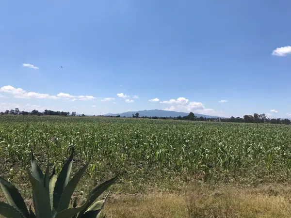 Terreno en venta en El Tesoro, Polotitlán — foto 2 de 13