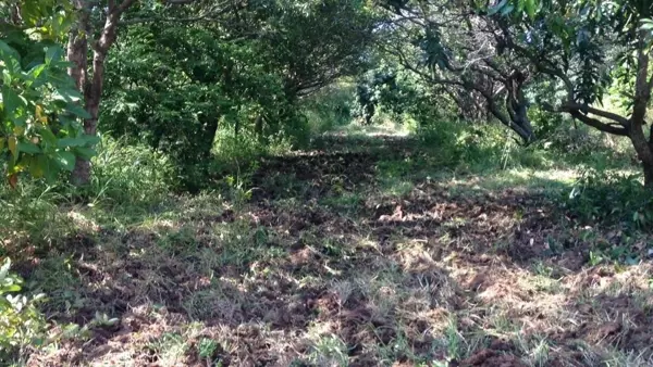 Terreno en venta en De las Juntas Delegacion, Puerto Vallarta — foto 2 de 7