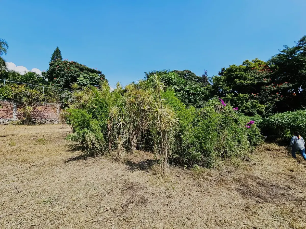 Terreno en venta en Chapultepec, Cuernavaca — foto 1 de 6