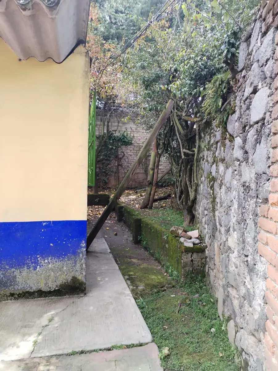 Imagen 5
