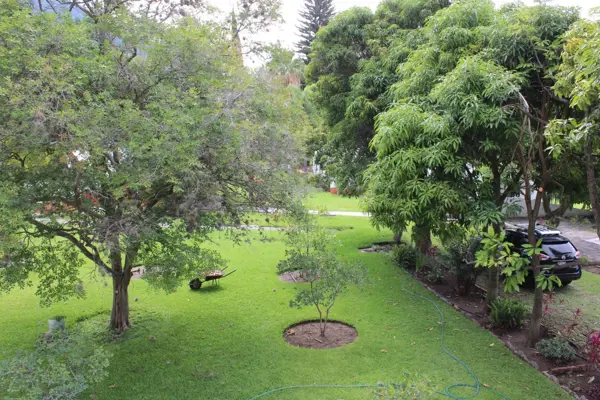 Terreno en venta en San Juan Cosala, Jocotepec — foto 3 de 15