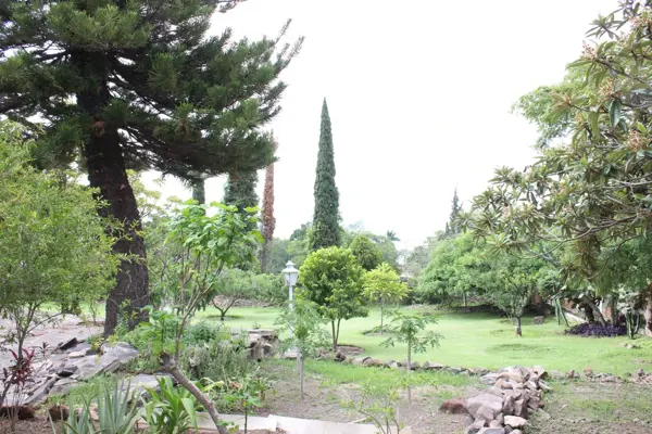 Terreno en venta en San Juan Cosala, Jocotepec — foto 2 de 15