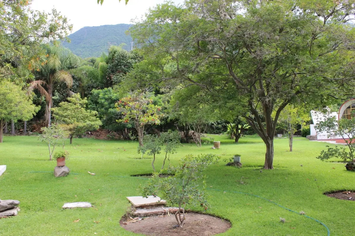 Terreno en venta en San Juan Cosala, Jocotepec — foto 1 de 15
