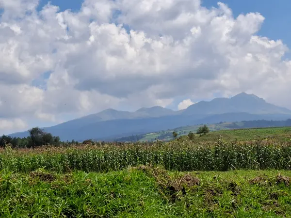 Terreno en venta en Tejalpa, Zinacantepec — foto 2 de 19