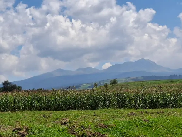 Terreno en venta en Tejalpa, Zinacantepec — foto 3 de 19