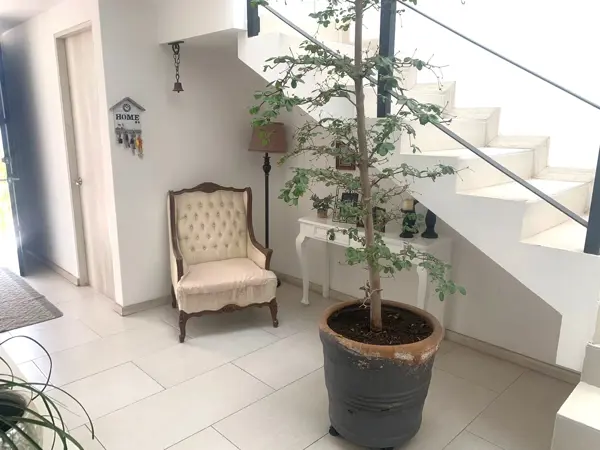 Casa en venta en Camino de Santiago, San Pedro Cholula — foto 3 de 18