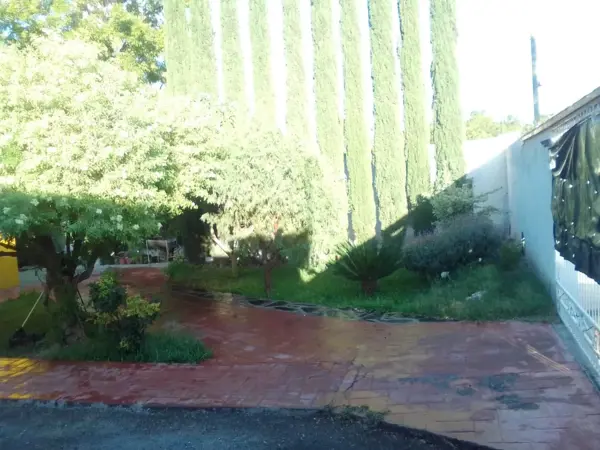 Casa en renta en Parras de la Fuente Centro, Parras — foto 3 de 10