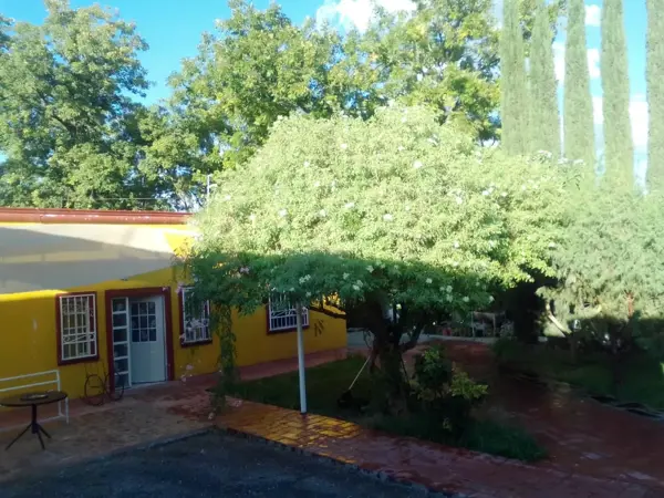 Casa en renta en Parras de la Fuente Centro, Parras — foto 2 de 10