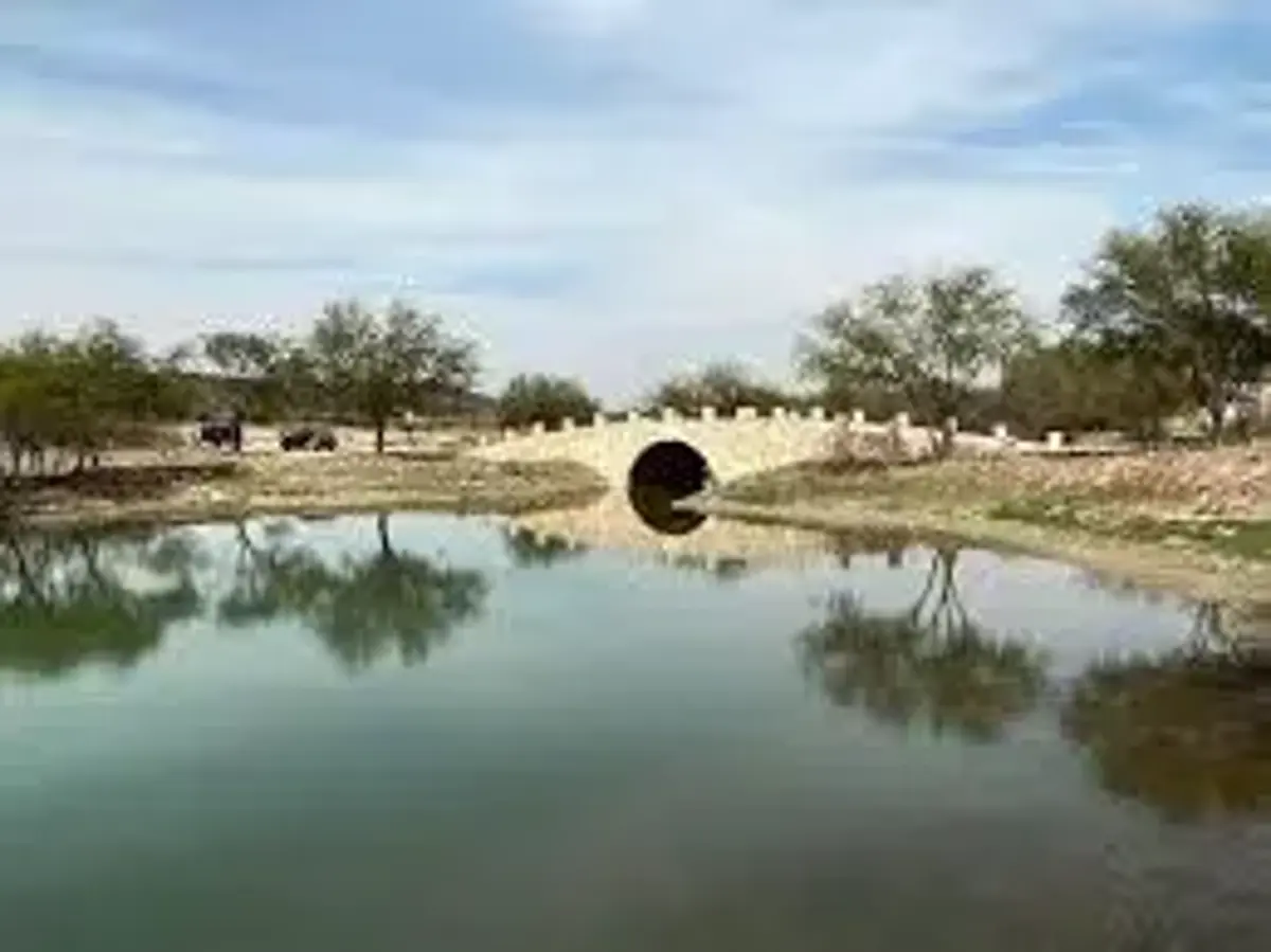 Finca-Rancho en venta en Gil de Leyva, Montemorelos — foto 1 de 8