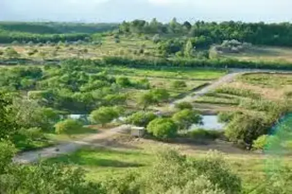 Finca-Rancho en venta en Gil de Leyva, Montemorelos — foto 2 de 8