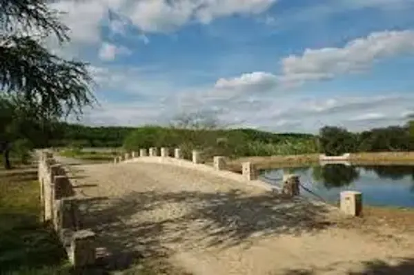 Finca-Rancho en venta en Gil de Leyva, Montemorelos — foto 3 de 8