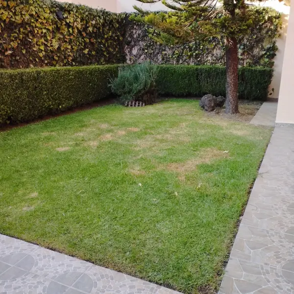 Casa en renta en San Francisco Coaxusco, Metepec — foto 3 de 15