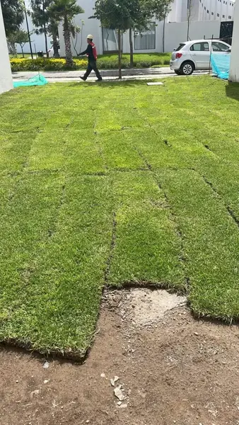 Terreno en venta en Lomas de Angelópolis II, San Andrés Cholula — foto 3 de 10