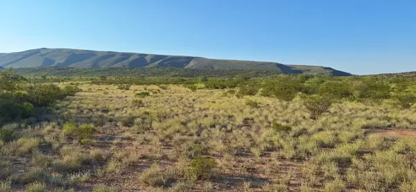 Finca-Rancho en venta en Rancho Nuevo, Ramos Arizpe — foto 3 de 7