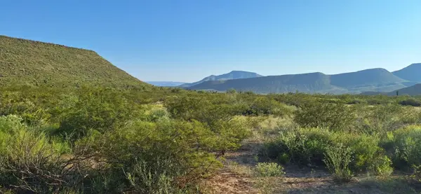Finca-Rancho en venta en Rancho Nuevo, Ramos Arizpe — foto 2 de 7