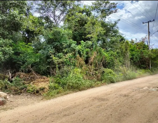 Terreno en venta en Cholul, Mérida — foto 3 de 7