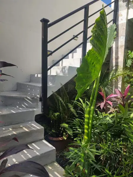 Departamento en renta en Jardines de Mérida, Mérida — foto 2 de 17