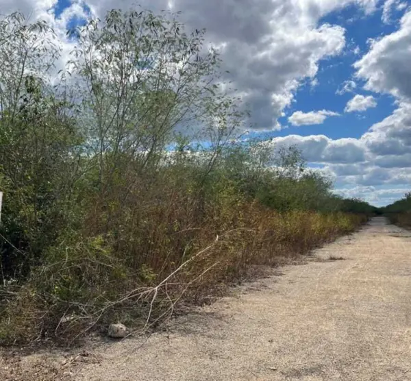 Terreno en venta en Yaxcopoil, Umán — foto 3 de 11