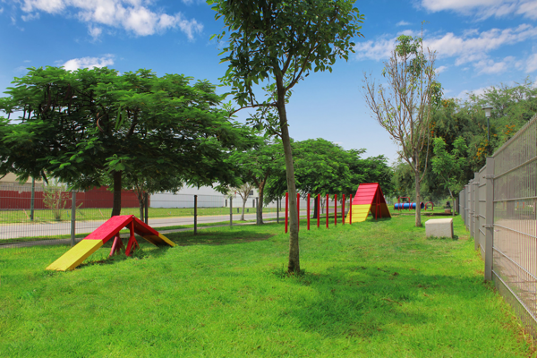 Casa en venta en Real Del Valle, Tlajomulco de Zúñiga — foto 3 de 13