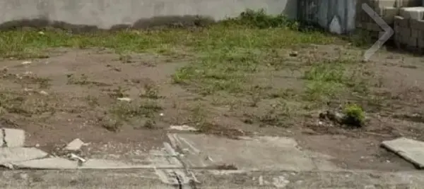 Terreno en venta en Las Lomas Residencial, Alvarado — foto 2 de 3