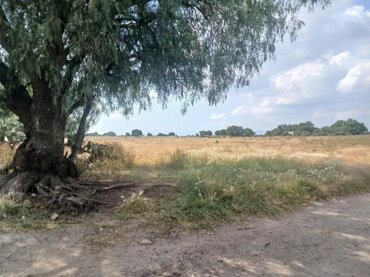 Terreno en venta en San Miguel, Zumpango — foto 1 de 3