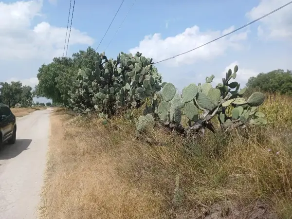 Terreno en venta en San Miguel, Zumpango — foto 3 de 3