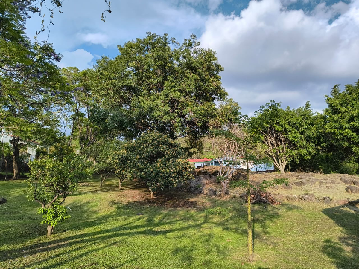 Finca-Rancho en venta en Nepantla de Sor Juana Inés de la Cruz, Tepetlixpa — foto 1 de 14