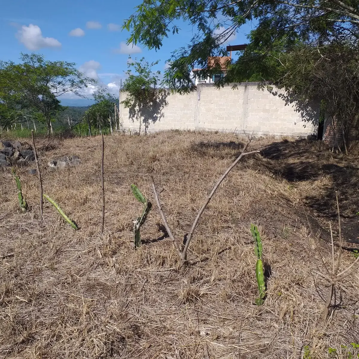 Terreno en venta en La Estanzuela, Emiliano Zapata — foto 1 de 6