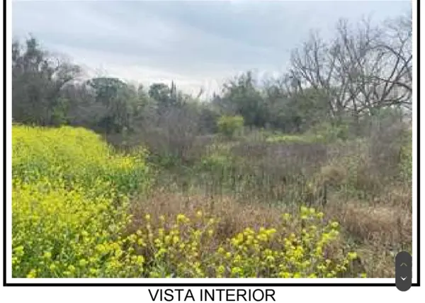 Terreno en venta en Los Gonzalez, Saltillo — foto 3 de 5