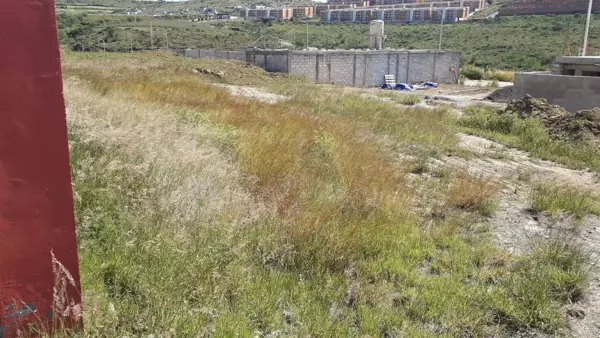 Terreno en venta en Tianguismanalco, Tianguismanalco — foto 2 de 4