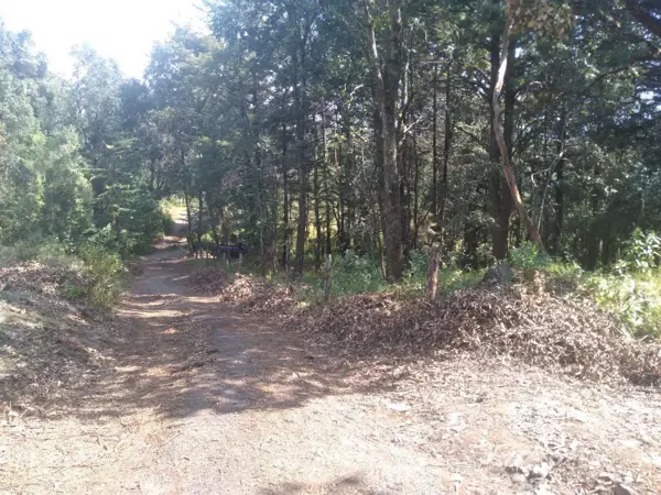 Terreno en venta en Huertas de San Pedro, Huitzilac — foto 2 de 5