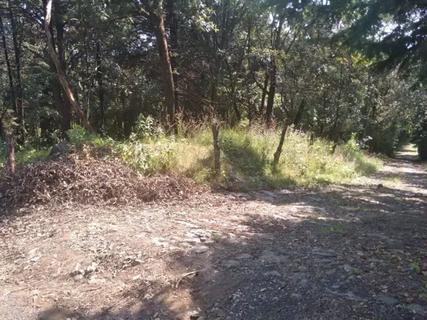 Terreno en venta en Huertas de San Pedro, Huitzilac — foto 3 de 5