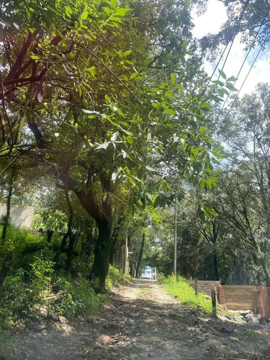 Terreno en venta en Huertas de San Pedro, Huitzilac — foto 1 de 12