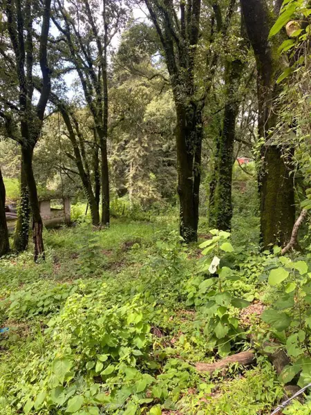 Terreno en venta en Huertas de San Pedro, Huitzilac — foto 2 de 12